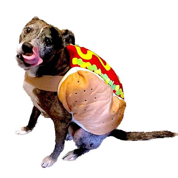 Other - PET HOT DOG COSTUME